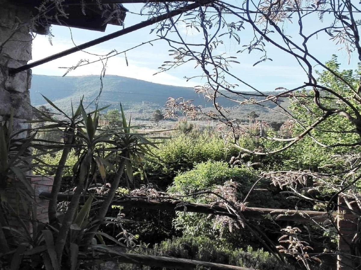 Naturaleza, Confort Y Vistas Inigualable En Casa Rural La Cumbre Gata Exterior photo